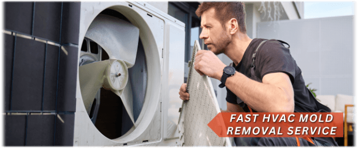 HVAC Mold Removal Gaithersburg